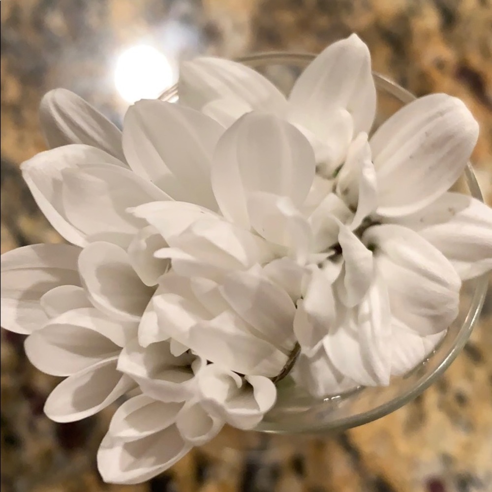 Meet your Posher, Tess